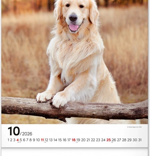 Calendario da parete Cani 2026