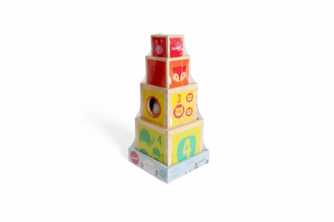 Wooden Blocks Tower Sorter