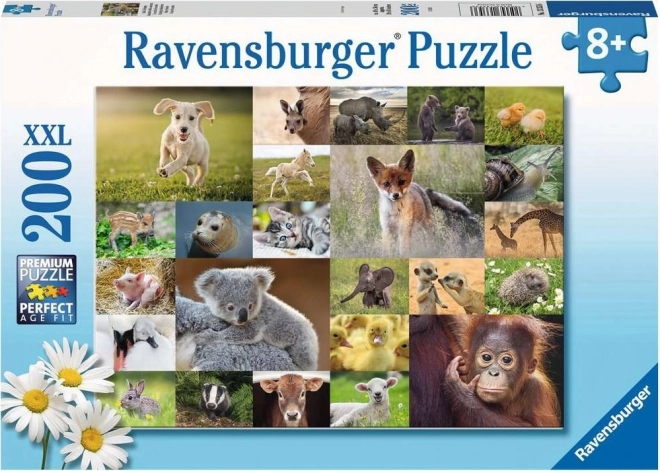 Animal Baby Collage Puzzle