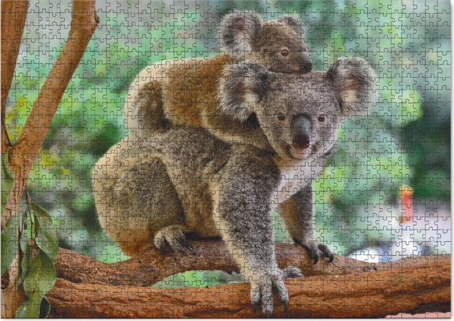 Koala with Baby Puzzle by Dodo