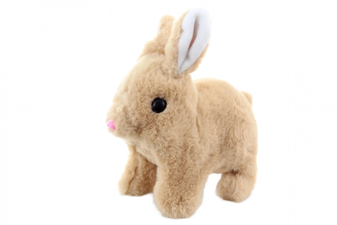 Interactive Plush Rabbit