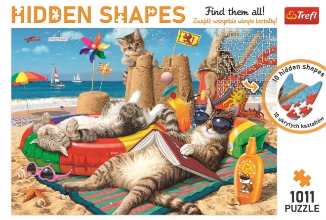 Hidden Shapes Puzzle - Cat Adventures