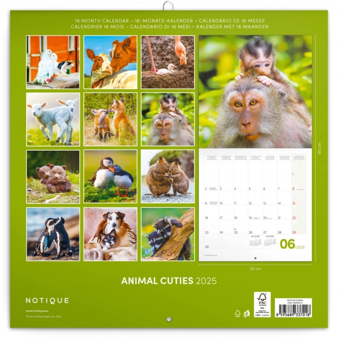 Notique Baby Animals Wall Calendar 2025