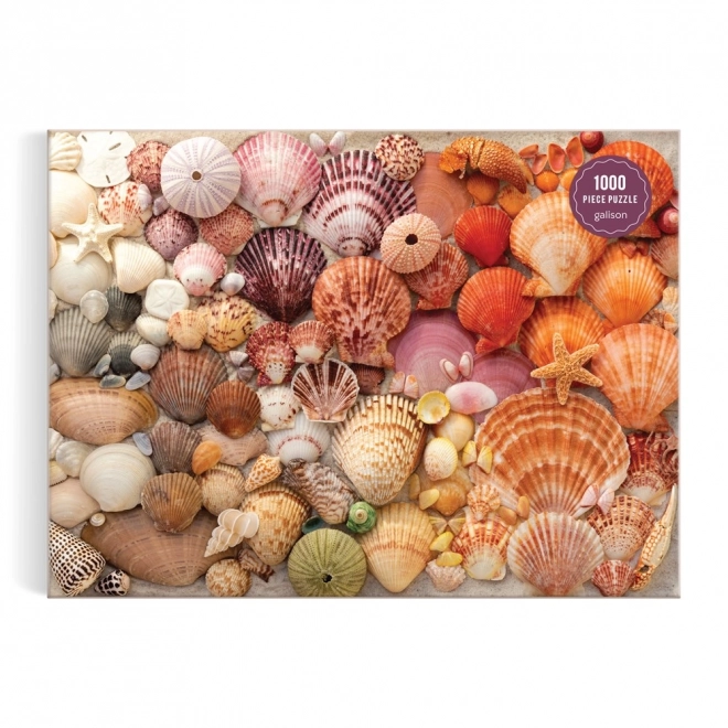 Galison Radiant Seashells Puzzle 1000 Pieces