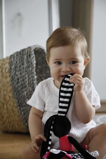 Texture diverse ed elementi fruscianti