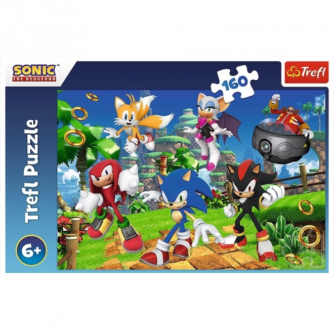 Sonic and Friends 160 Piece Puzzle