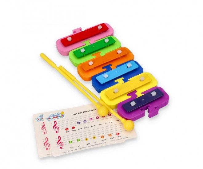 Bath Xylophone with Mallets