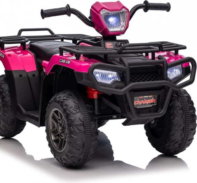 Rosa Akku-Quad JC915