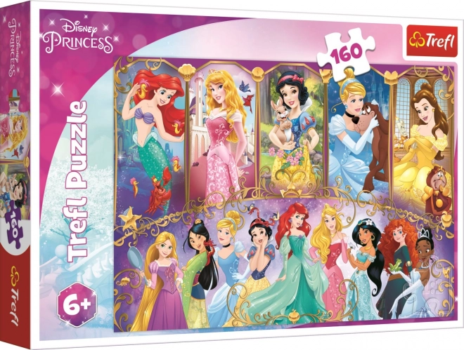 Princess Portraits 160 Piece Puzzle