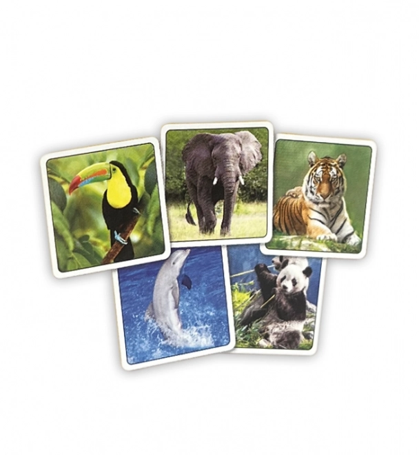 Zoo Memory Game in Box