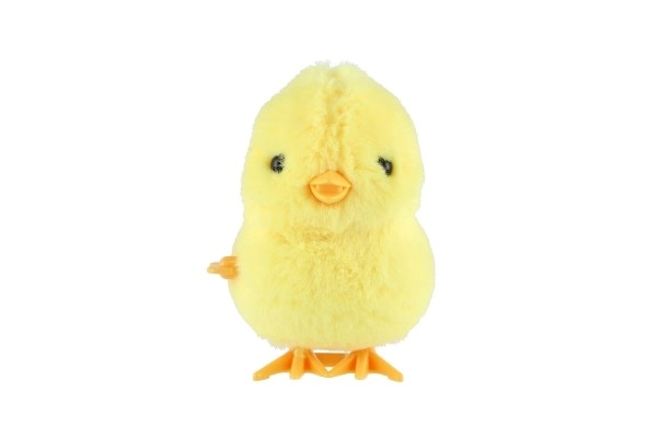 Wind-Up Chick Toy