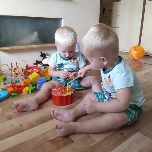 Wooden Magnetic Strawberry Game