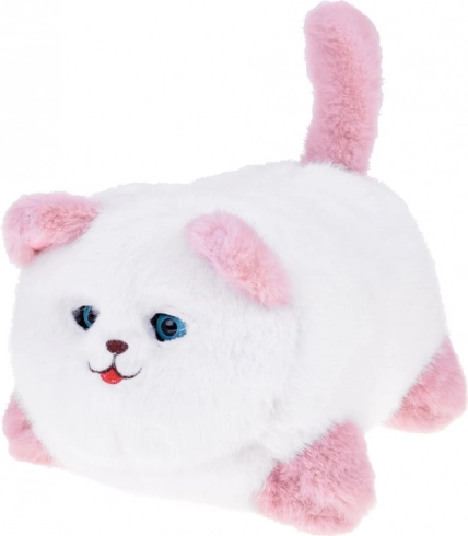 Interactive Cat Pusia