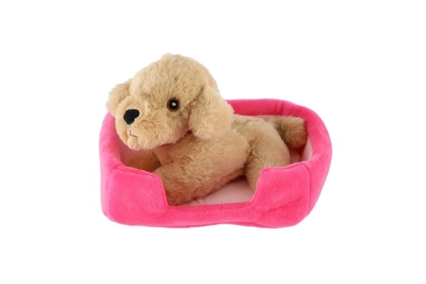 Plush Pet With Bed