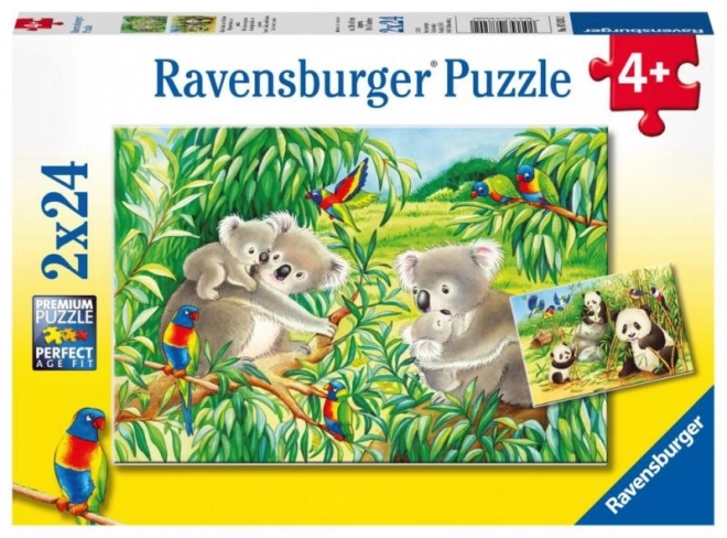 Cute Koalas and Pandas Puzzle