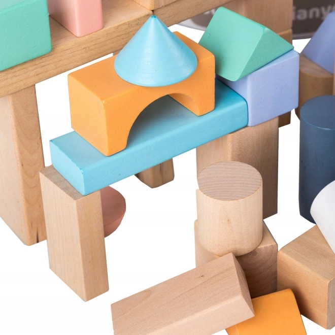 Wooden Blocks Set With Sorter