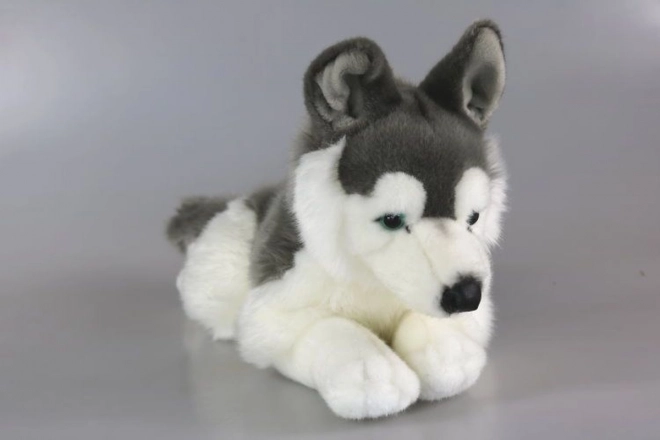 Plush Husky Dog Toy