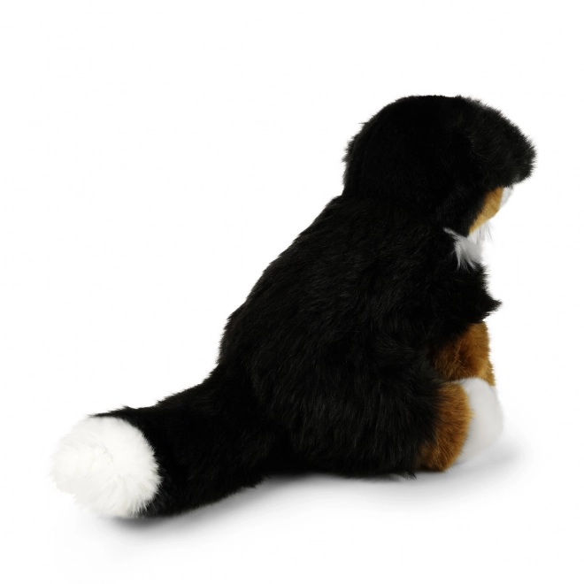 Öko-barát plüss berni pásztorkutya 28 cm