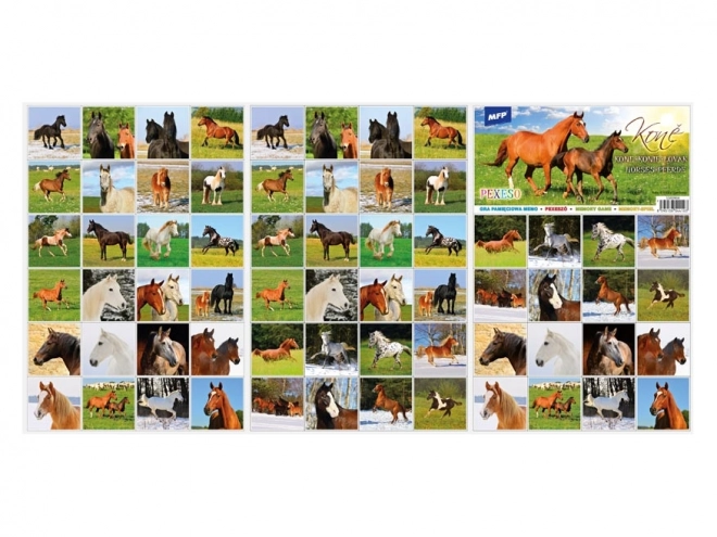 Memory Game Horses