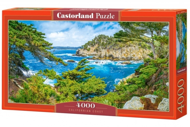 Californian Coastline Puzzle