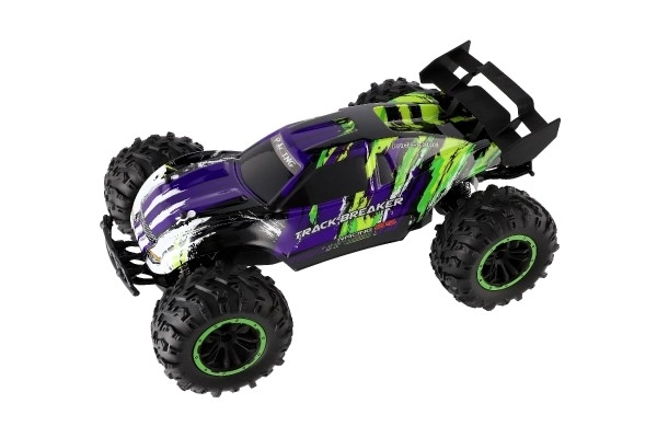 Remote Control Racing Buggy Car 40cm with Rechargeable Pack