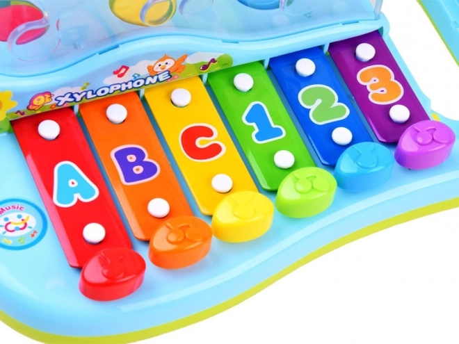 Educational Xylophone with Balls and Hammer