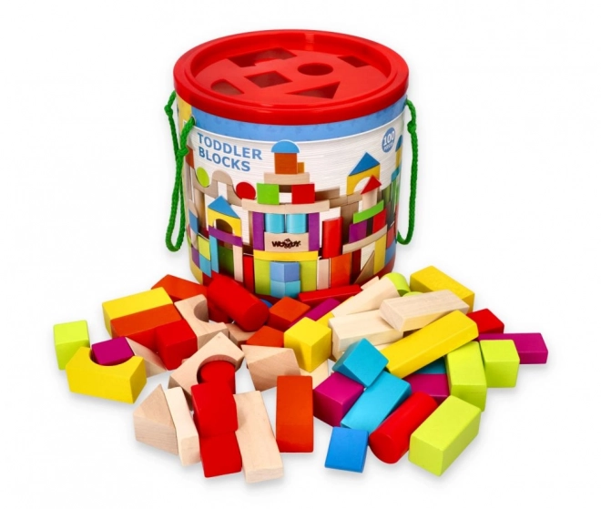 Colorful Wooden Blocks Set