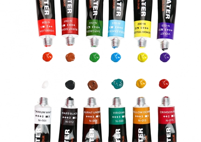 Acrylic Paint Set with 12 Colors