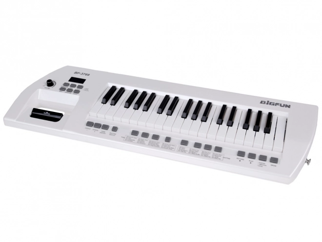 Electric Piano With Microphone Toy Instrument for Kids