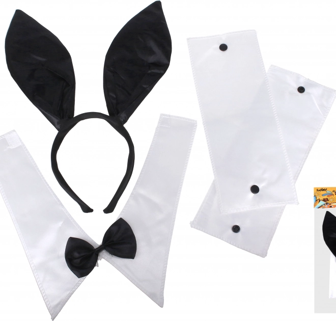 Ensemble de carnaval - lapin