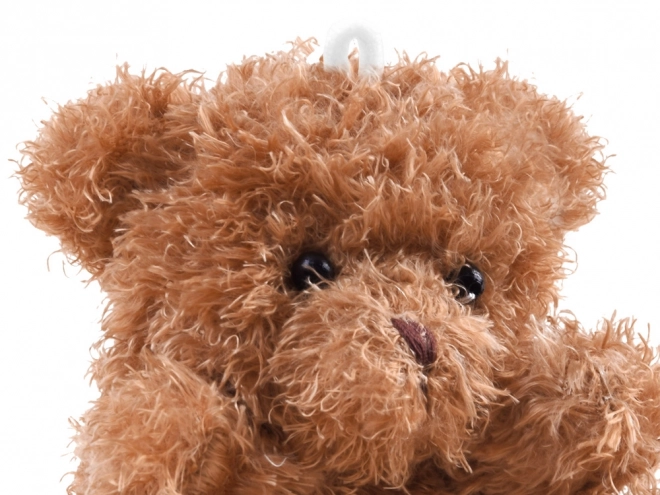 Plush Bear Soft Toy – brown