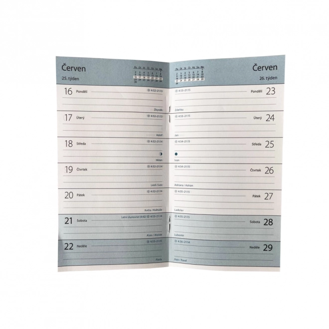 Weekly planner 2025 pastelini blue