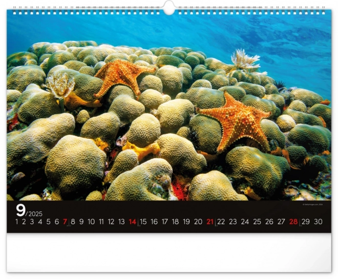 Wall Calendar Ocean 2025