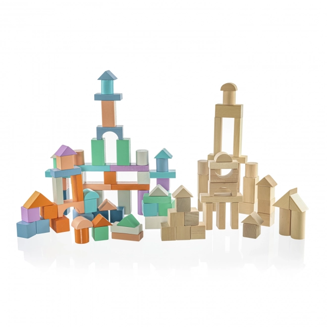 Wooden Block Set for Kids - 100 Pieces