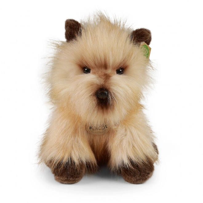 Plush Cairn Terrier 30 cm Eco-Friendly