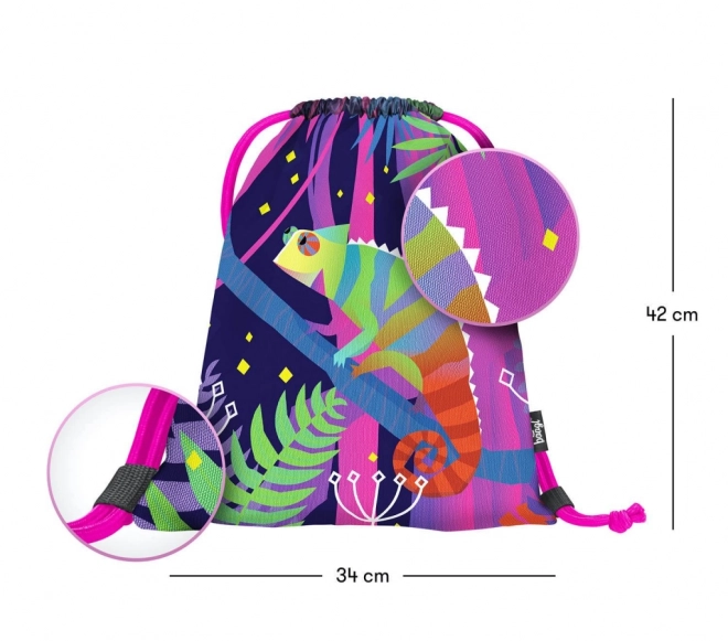 Chameleon Drawstring Bag by Baagl