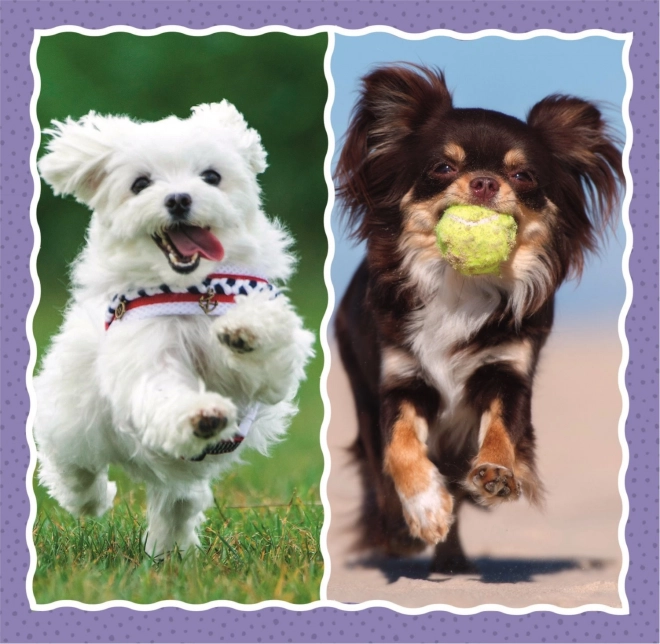 Adorable Dogs 3-in-1 Puzzle