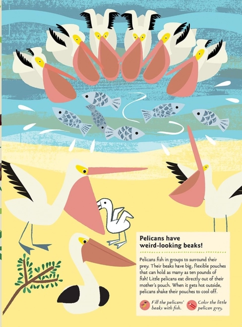 My Nature: Birds of the World Activity Book with Stickers