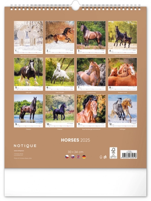 Wall Calendar Horses 2025