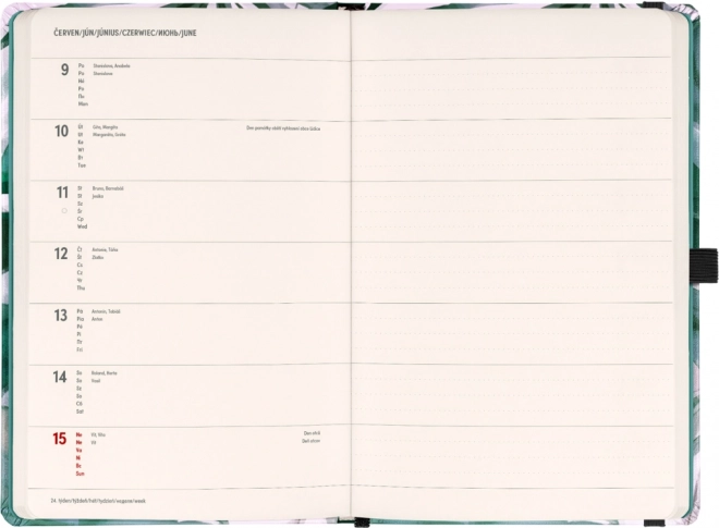 Weekly Planner Monstera Design 2025