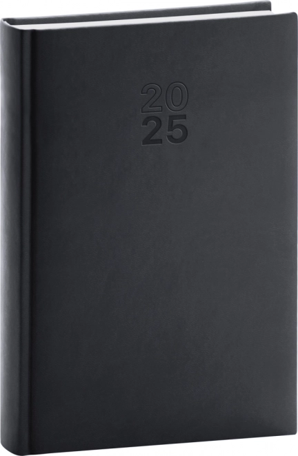 Notique daily diary Aprint 2025 black