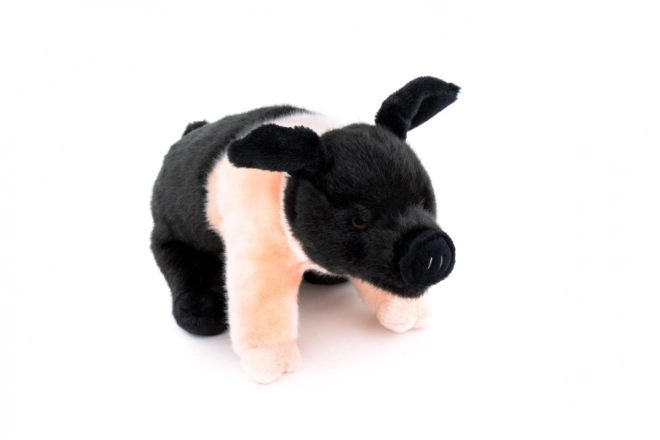 Plush Pig 25cm