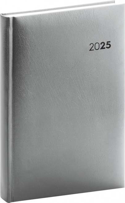 Notique Daily Planner Balacron 2025 Silver