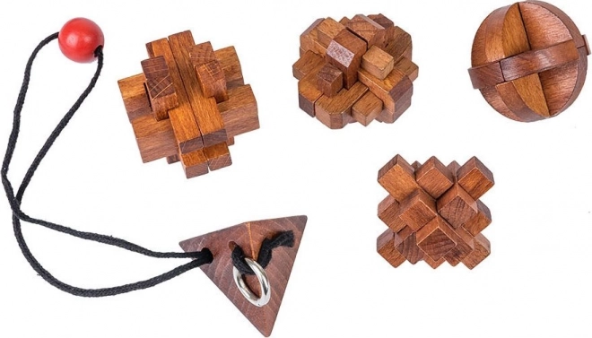 Profesor Puzzle Great Minds: Femmes célèbres 5 en 1