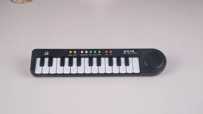 Musical Toy Keyboard for Children