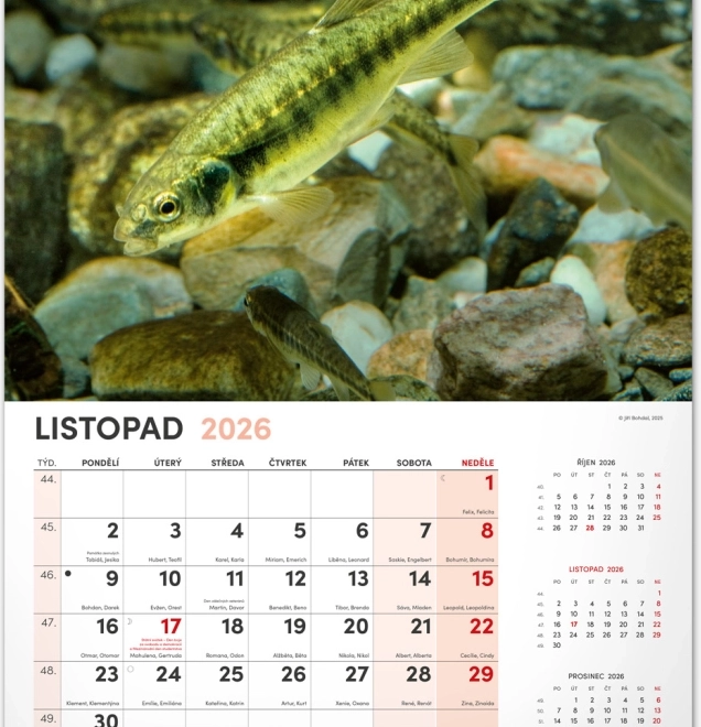 Calendrier mural de pêche 2026