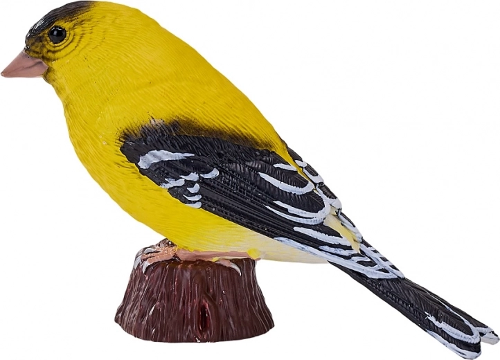 Verna podoba rumenega čižka