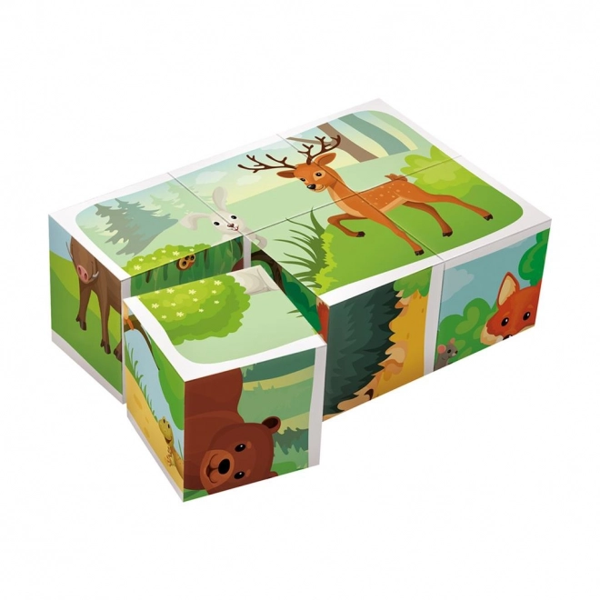 Forest Animals Picture Blocks