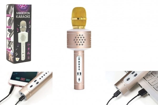 Bluetooth Karaoke Microphone Silver – Gold