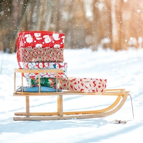 Wooden Sledge with Backrest